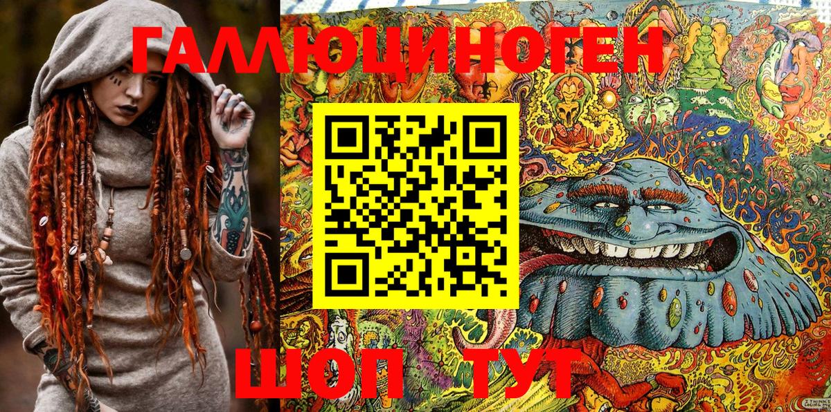 Ковров  Псилоцибиновые грибы Psilocybine cubensis  Вход с VPN 