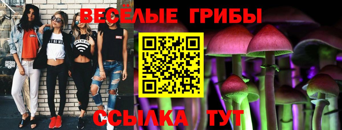 Псилоцибиновые грибы Psilocybine cubensis Ковров